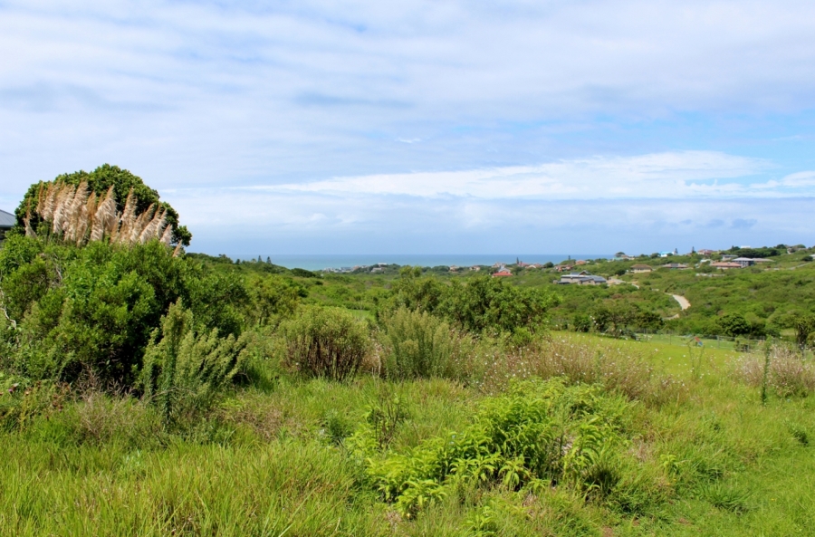0 Bedroom Property for Sale in Forest Downs Eastern Cape